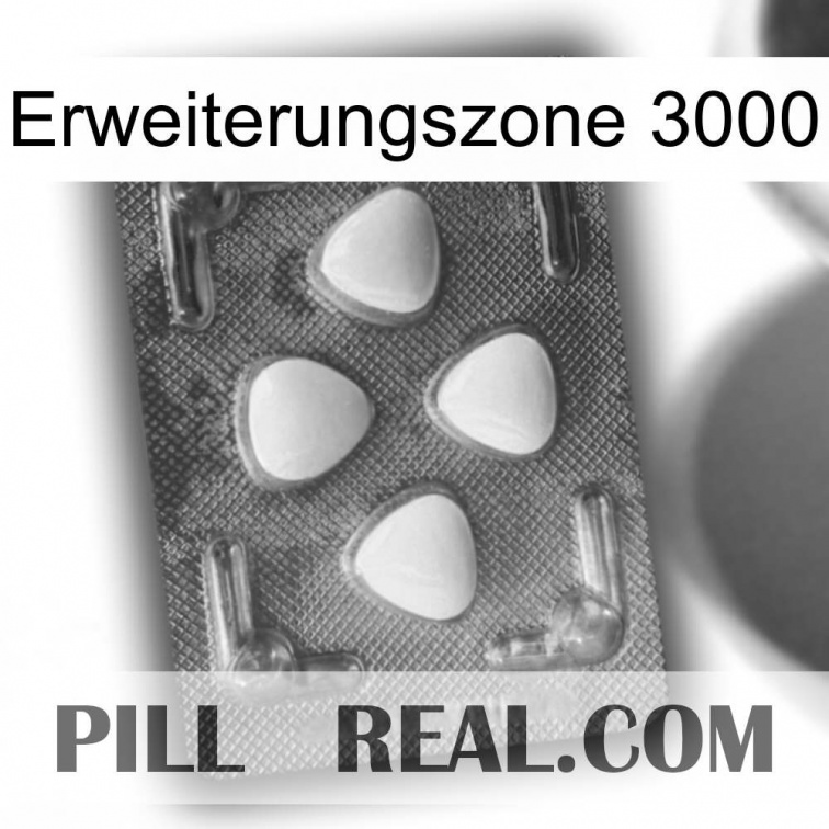 Exten Zone 3000 13
